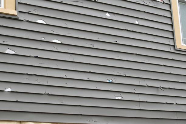 Best Siding for Multi-Family Homes  in Wilmer, TX